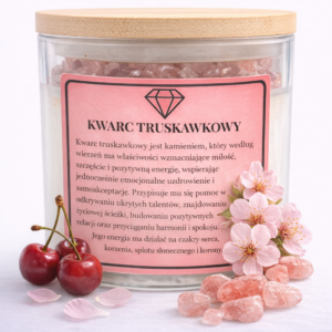 Świeca sojowa dzika wiśnia classic 450g